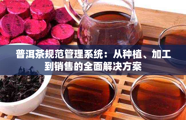 普洱茶规范管理系统：从种植、加工到销售的全面解决方案