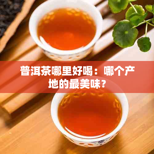 普洱茶哪里好喝：哪个产地的最美味？