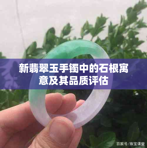 新翡翠玉手镯中的石根寓意及其品质评估