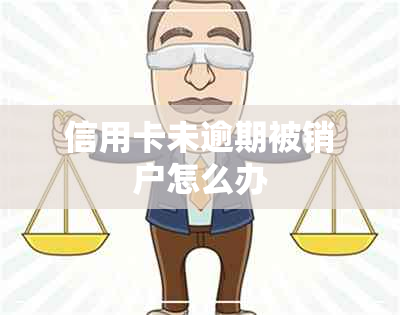 信用卡未逾期被销户怎么办