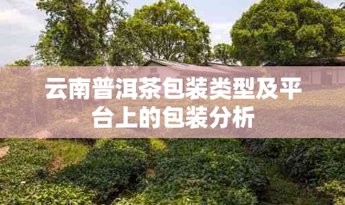 云南普洱茶包装类型及平台上的包装分析