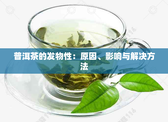 普洱茶的发物性：原因、影响与解决方法