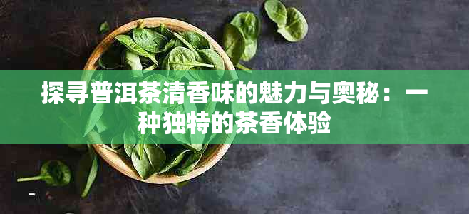 探寻普洱茶清香味的魅力与奥秘：一种独特的茶香体验