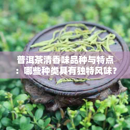 普洱茶清香味品种与特点：哪些种类具有独特风味？