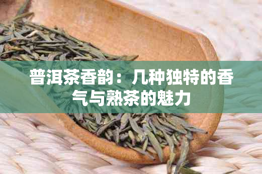 普洱茶香韵：几种独特的香气与熟茶的魅力