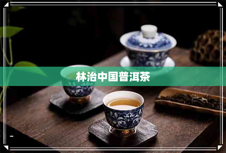 林治中国普洱茶