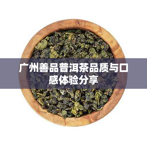 广州善品普洱茶品质与口感体验分享