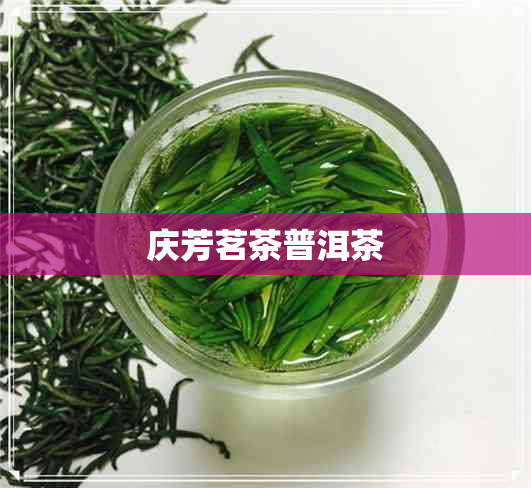 庆芳茗茶普洱茶