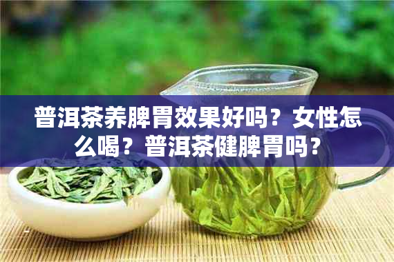 普洱茶养脾胃效果好吗？女性怎么喝？普洱茶健脾胃吗？