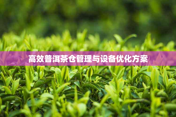 高效普洱茶仓管理与设备优化方案