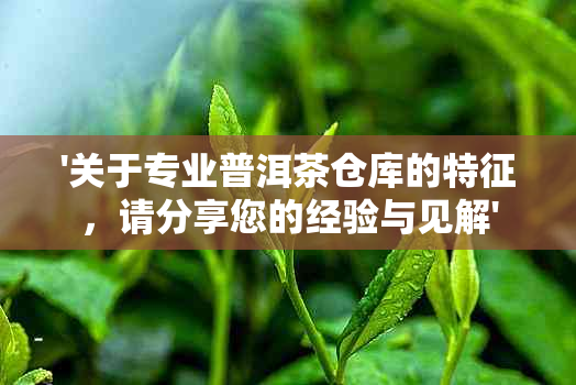 '关于专业普洱茶仓库的特征，请分享您的经验与见解'