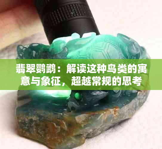 翡翠鹦鹉：解读这种鸟类的寓意与象征，超越常规的思考