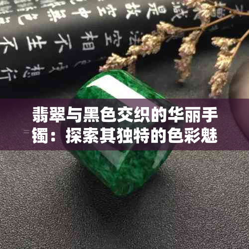 翡翠与黑色交织的华丽手镯：探索其独特的色彩魅力