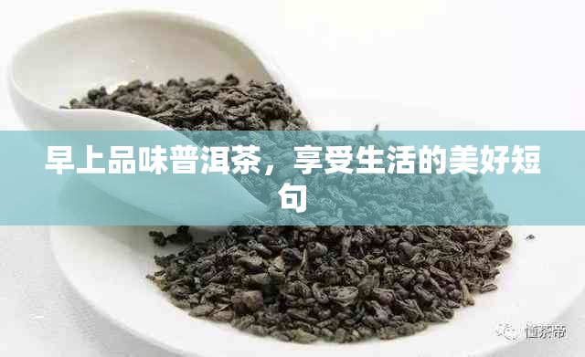 早上品味普洱茶，享受生活的美好短句