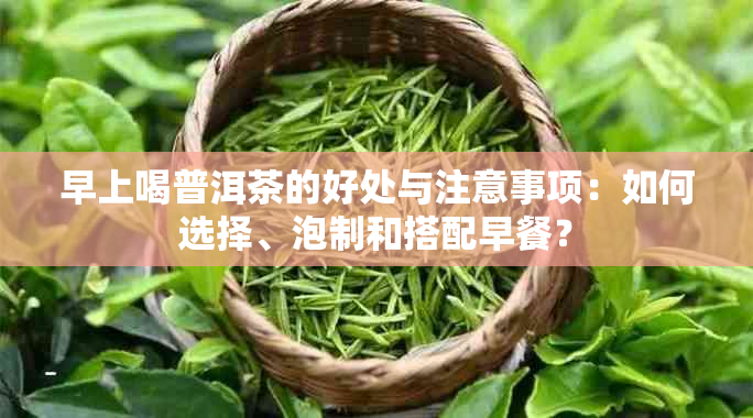 早上喝普洱茶的好处与注意事项：如何选择、泡制和搭配早餐？