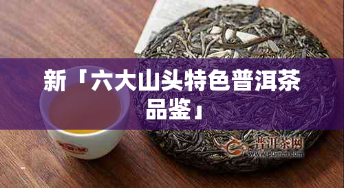 新「六大山头特色普洱茶品鉴」