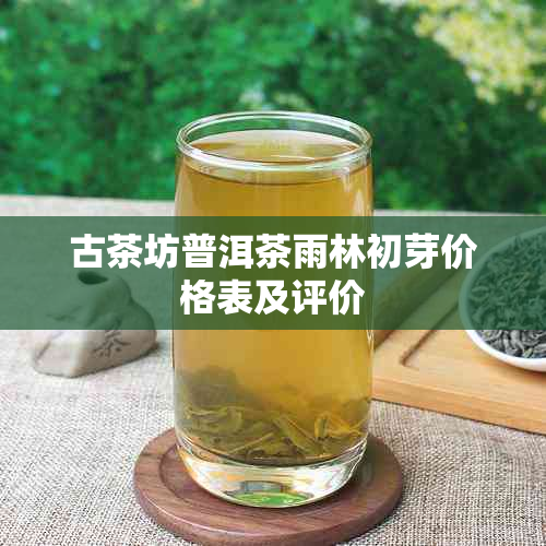 古茶坊普洱茶雨林初芽价格表及评价