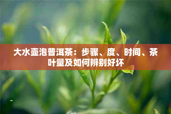 大水壶泡普洱茶：步骤、度、时间、茶叶量及如何辨别好坏