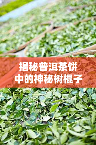 揭秘普洱茶饼中的神秘树棍子：它究竟有何作用？