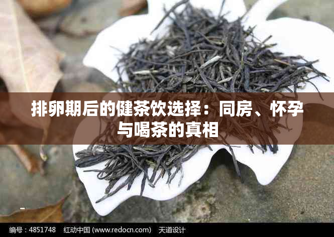 排卵期后的健茶饮选择：同房、怀孕与喝茶的真相