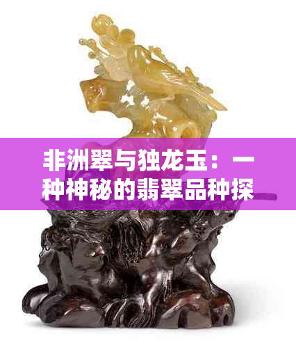 非洲翠与独龙玉：一种神秘的翡翠品种探索