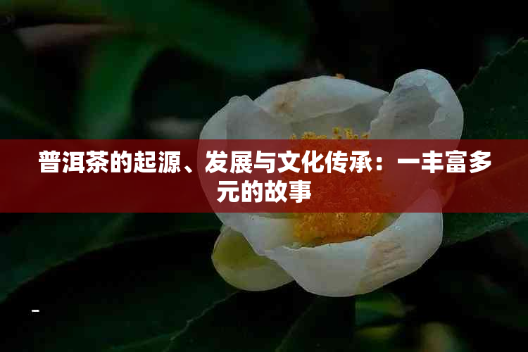 普洱茶的起源、发展与文化传承：一丰富多元的故事