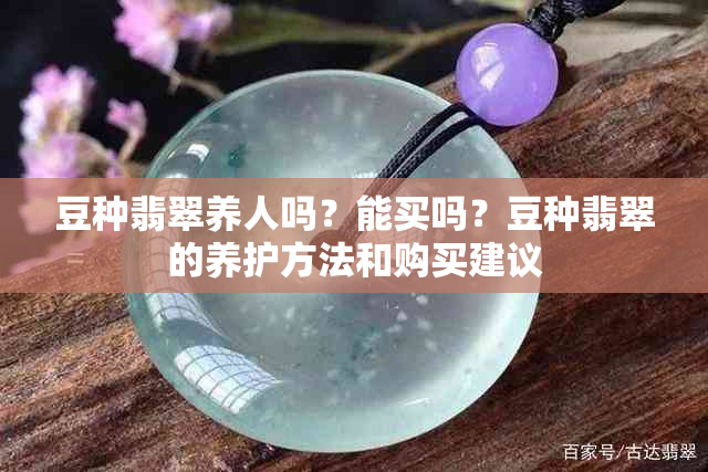 豆种翡翠养人吗？能买吗？豆种翡翠的养护方法和购买建议