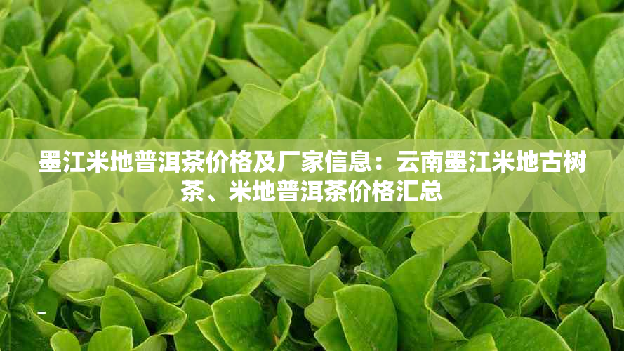 墨江米地普洱茶价格及厂家信息：云南墨江米地古树茶、米地普洱茶价格汇总