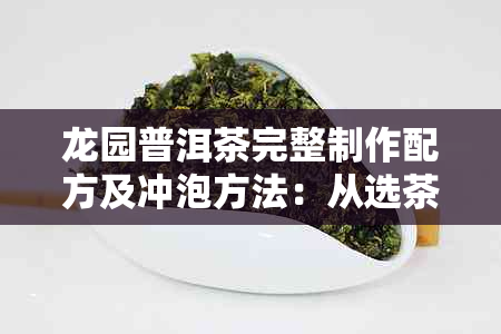 龙园普洱茶完整制作配方及冲泡方法：从选茶到品鉴全方位指南