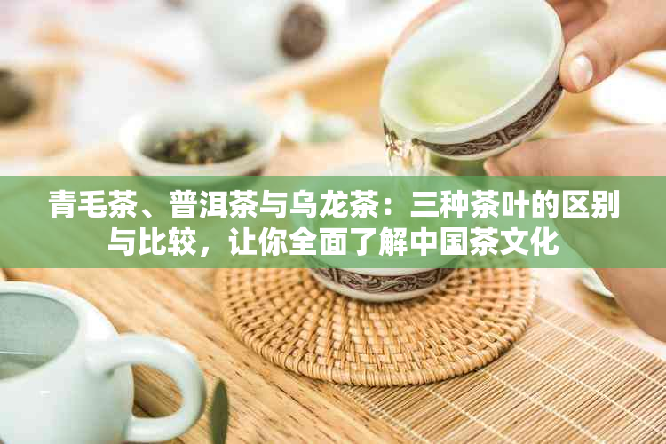 青毛茶、普洱茶与乌龙茶：三种茶叶的区别与比较，让你全面了解中国茶文化