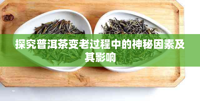 探究普洱茶变老过程中的神秘因素及其影响