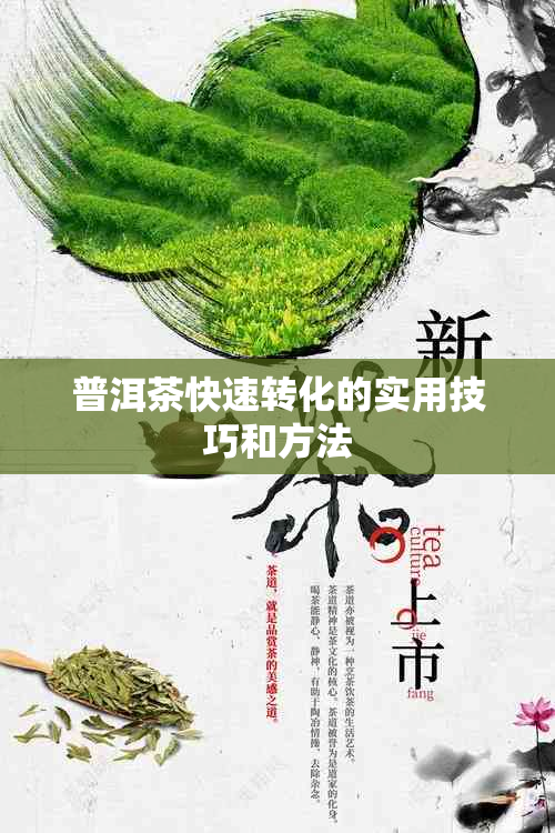 普洱茶快速转化的实用技巧和方法