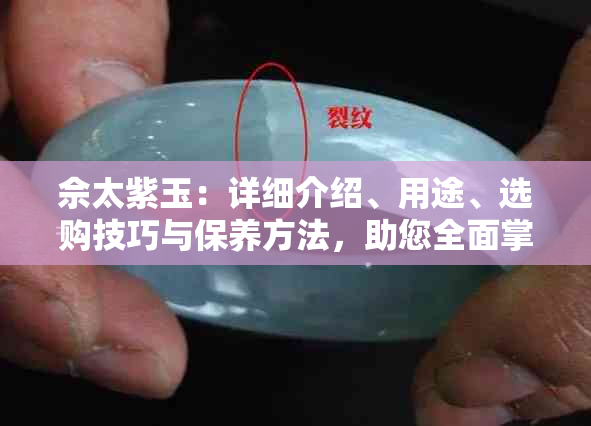 佘太紫玉：详细介绍、用途、选购技巧与保养方法，助您全面掌握紫玉知识