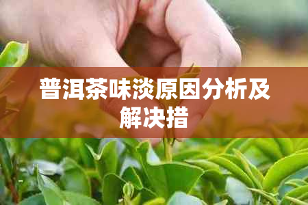 普洱茶味淡原因分析及解决措