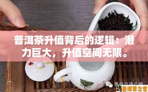 普洱茶升值背后的逻辑：潜力巨大，升值空间无限。