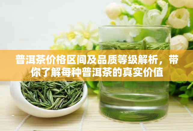 普洱茶价格区间及品质等级解析，带你了解每种普洱茶的真实价值