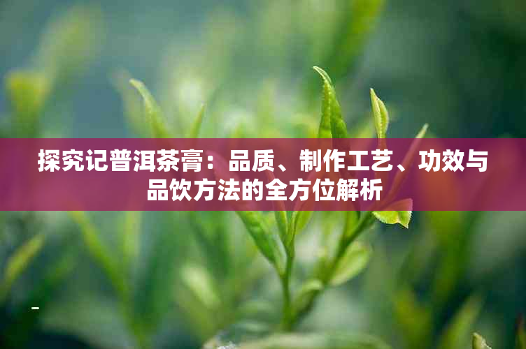 探究记普洱茶膏：品质、制作工艺、功效与品饮方法的全方位解析