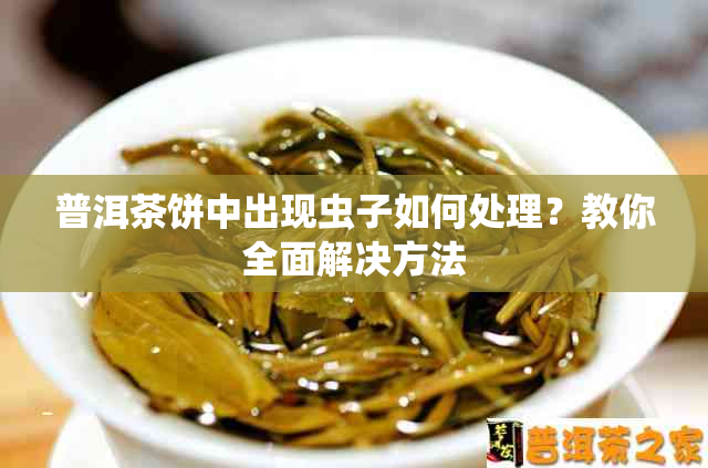 普洱茶饼中出现虫子如何处理？教你全面解决方法