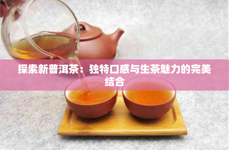 探索新普洱茶：独特口感与生茶魅力的完美结合