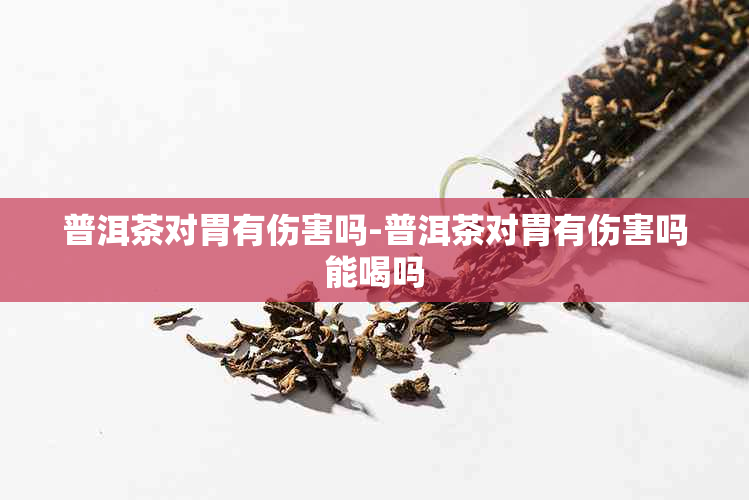 普洱茶对胃有伤害吗-普洱茶对胃有伤害吗能喝吗