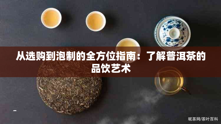 从选购到泡制的全方位指南：了解普洱茶的品饮艺术