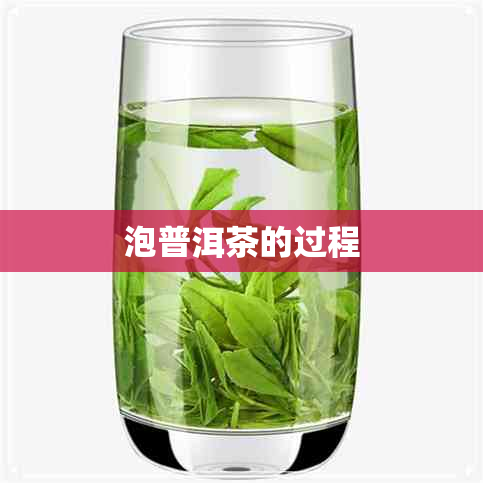 泡普洱茶的过程