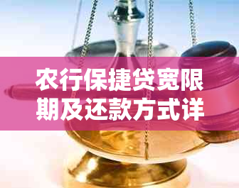 农行保捷贷宽限期及还款方式详解：利息、期限与操作步骤全解析