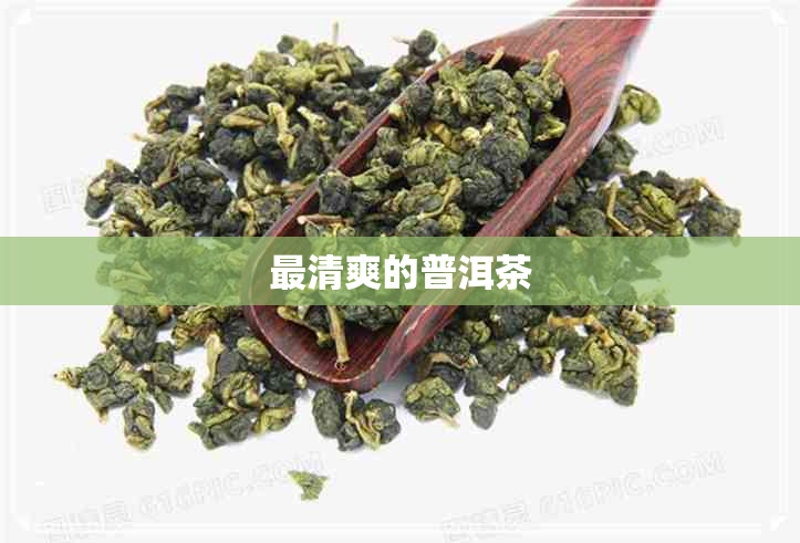 最清爽的普洱茶