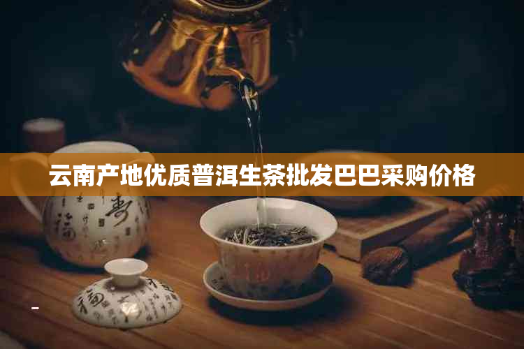 云南产地优质普洱生茶批发巴巴采购价格