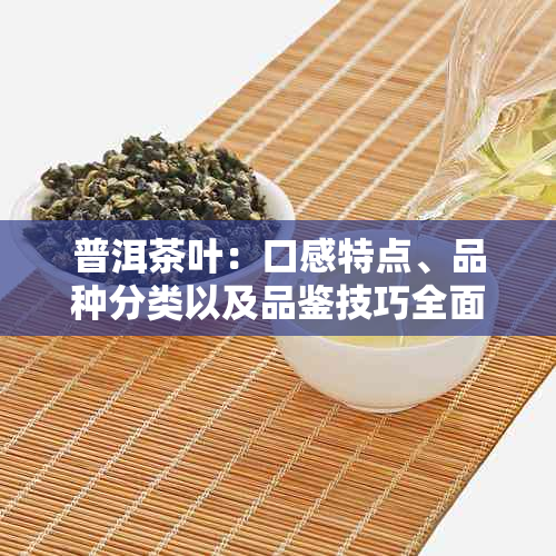 普洱茶叶：口感特点、品种分类以及品鉴技巧全面解析