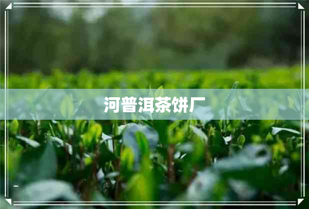 河普洱茶饼厂