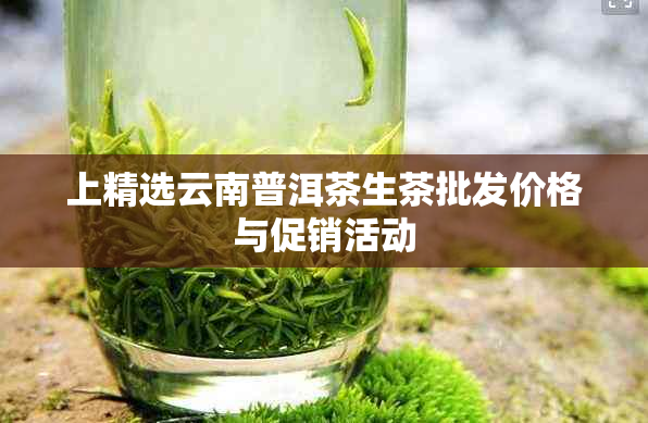 上精选云南普洱茶生茶批发价格与促销活动