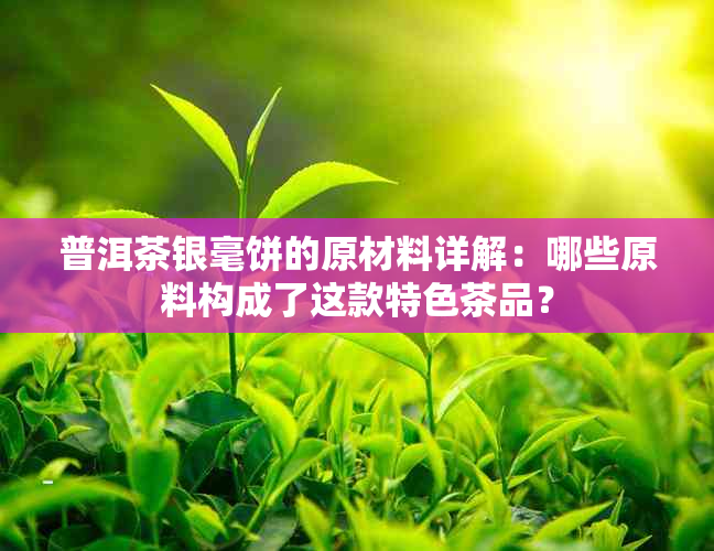 普洱茶银毫饼的原材料详解：哪些原料构成了这款特色茶品？