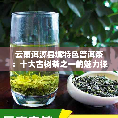 云南洱源县城特色普洱茶：十大古树茶之一的魅力探析